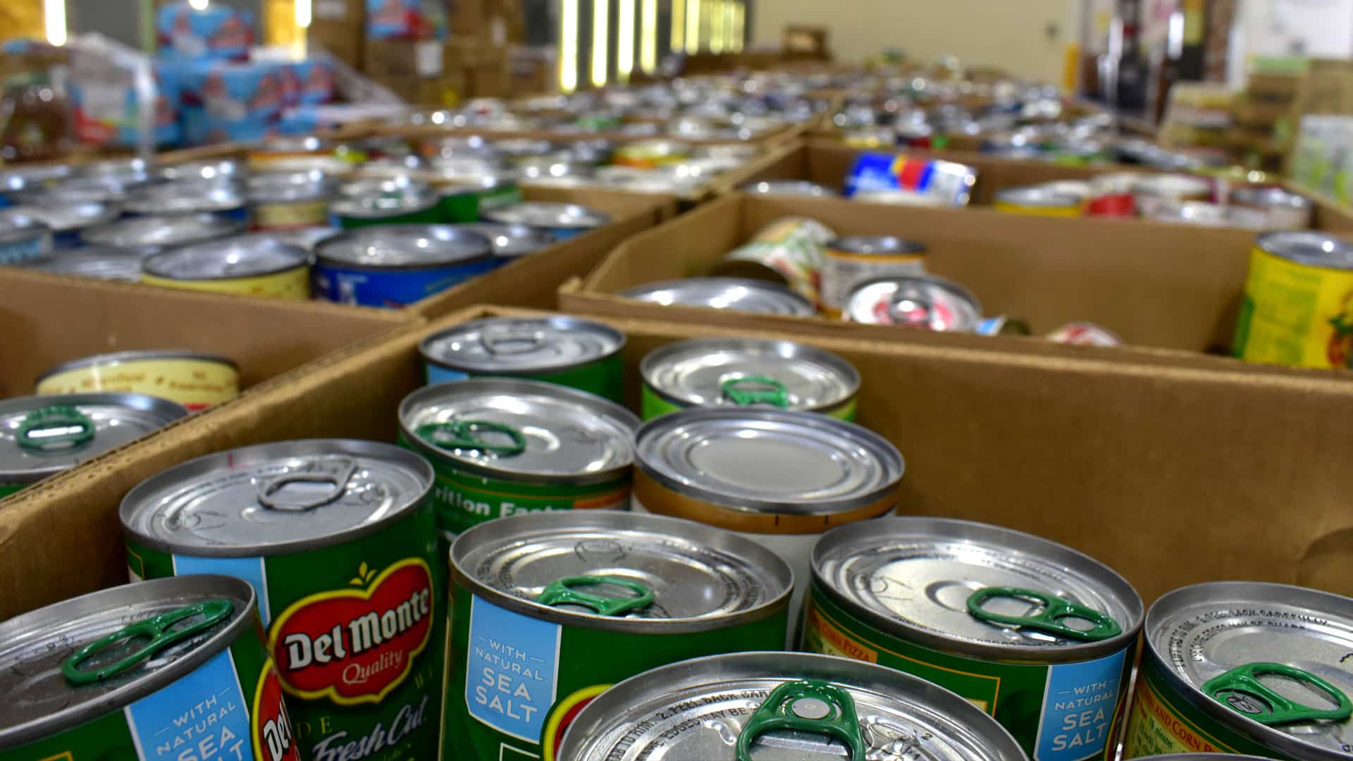 Close-up shot of assorted canned items at our warehouse.