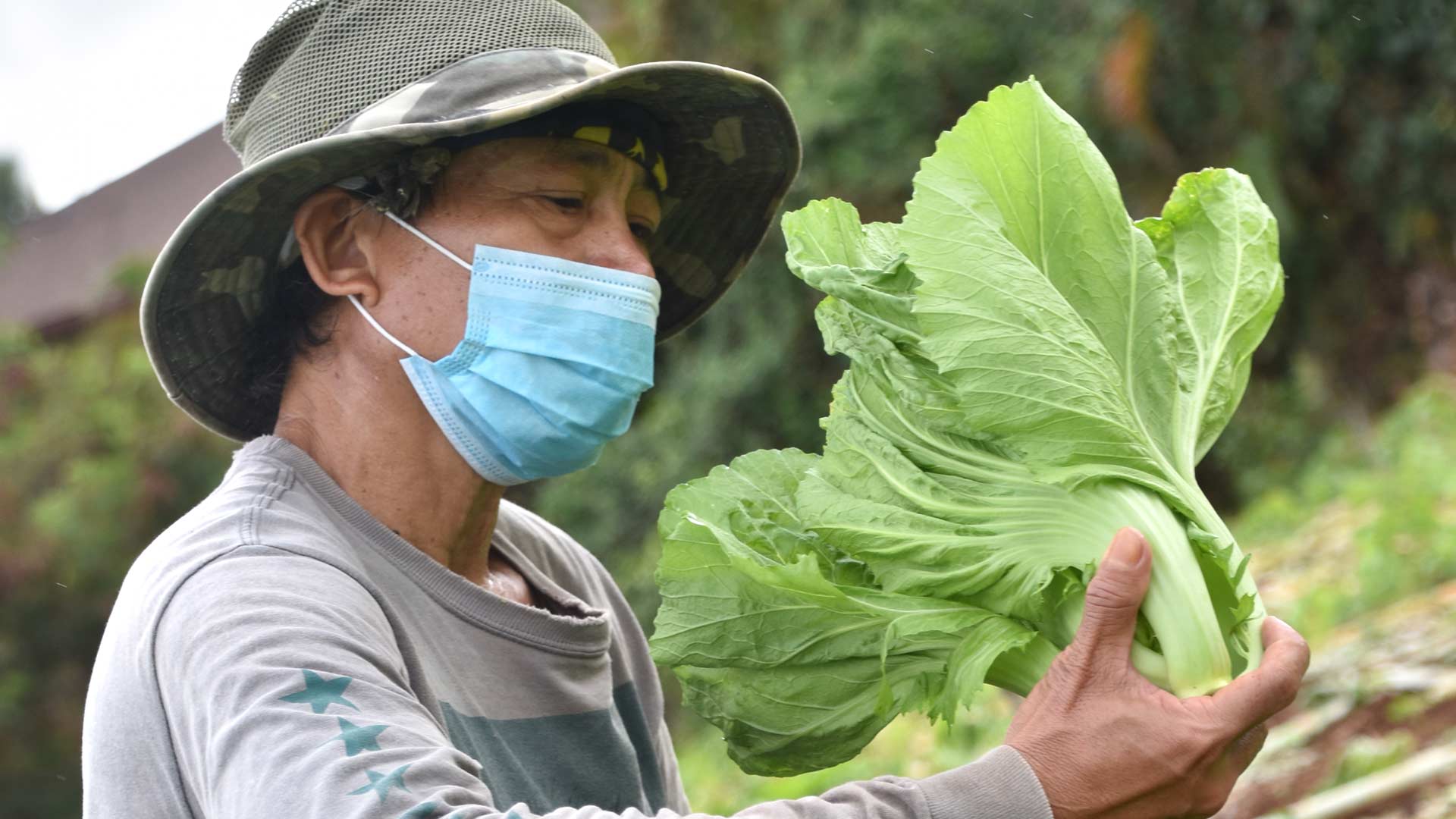 Farm to Foodbank