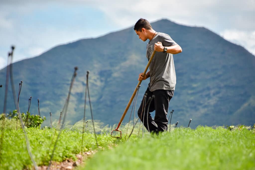 A farmer works the fields in Wai'anae