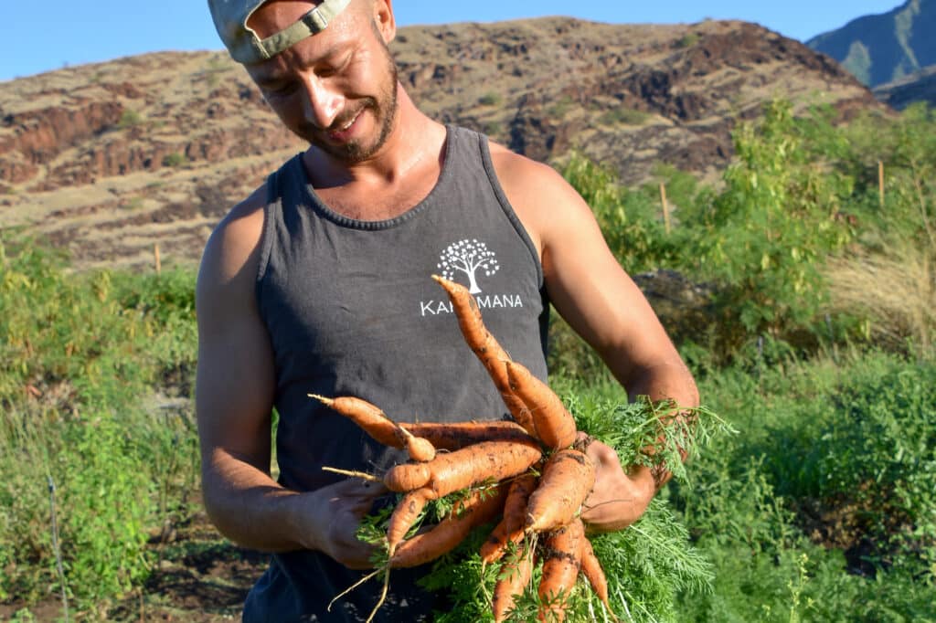 A farmer holds freshly harvested carrots from Kahumana Farms in Waianae