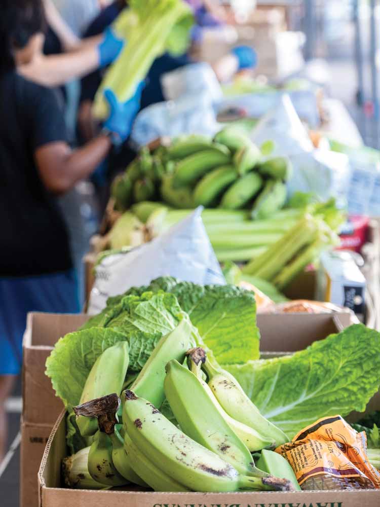 A selection of fresh produce, including green bananas and lettuce, is displayed at a food distribution center.